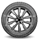 MASTERCRAFT COURSER QUEST PLUS 3.webp