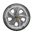 18555R16-CONT-U-2.webp