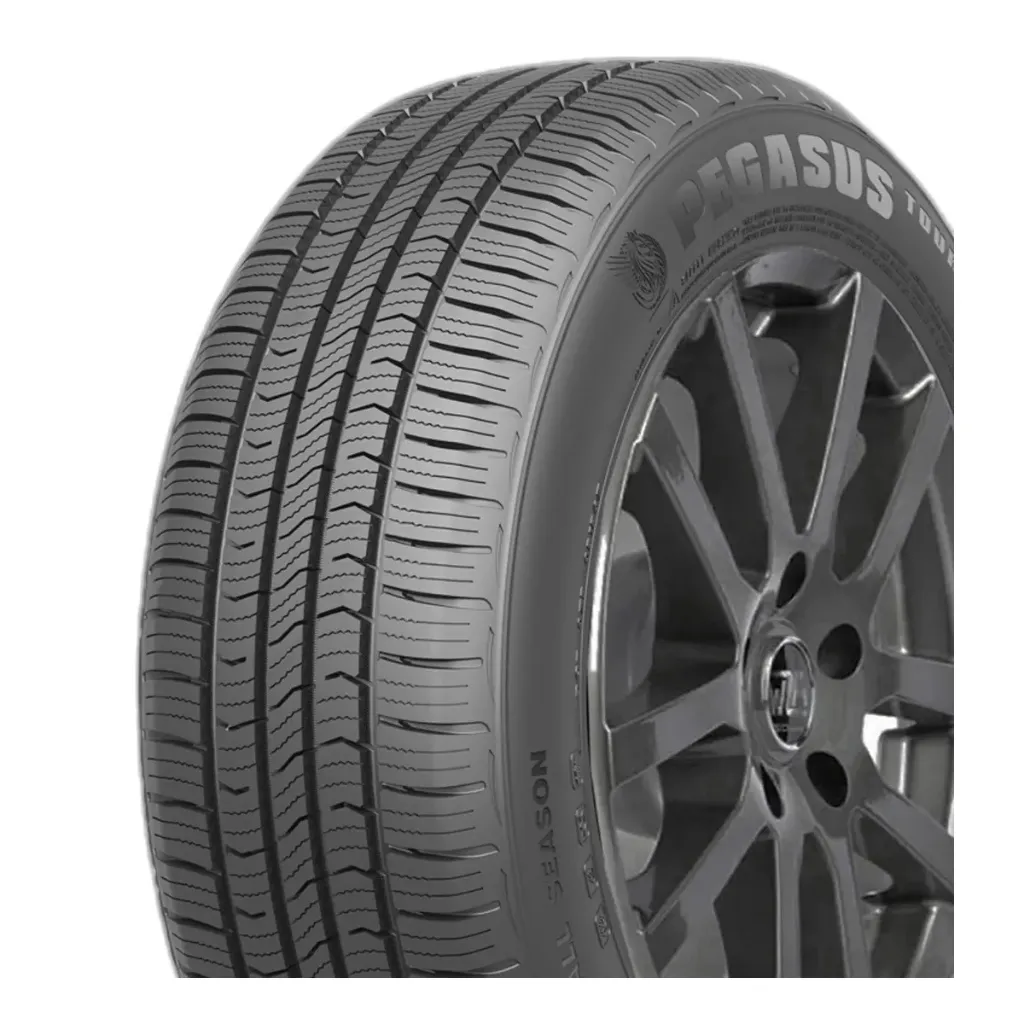 175/70R14 PEGASUS TOUR AS 84T