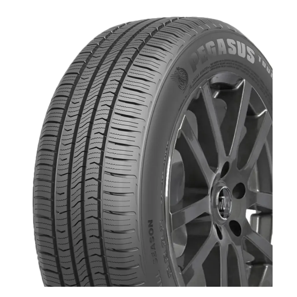 195/60R14 PEGASUS TOUR AS 86H
