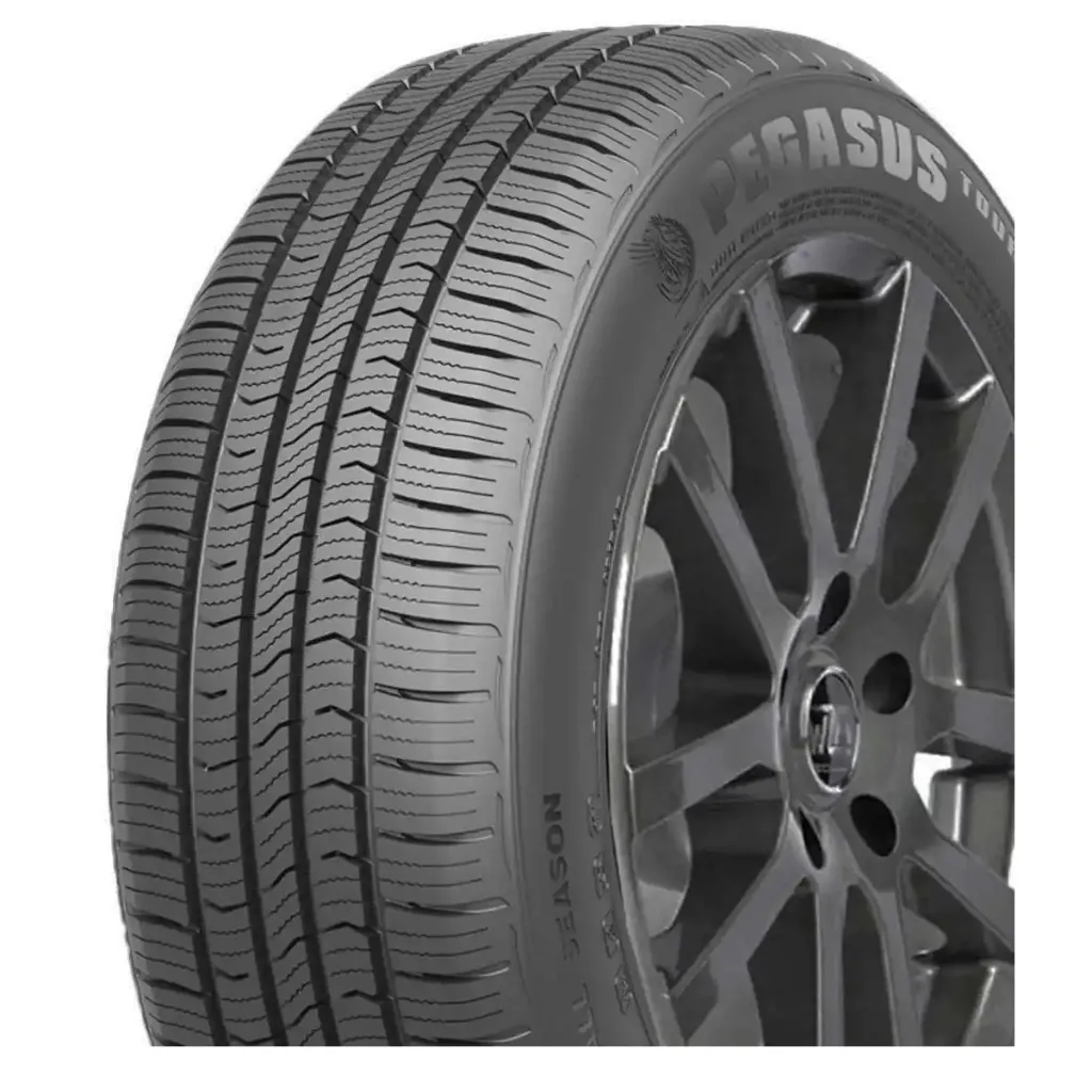 195/55R15 PEGASUS TOUR AS 85V